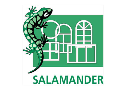Salamander (Беларусь)